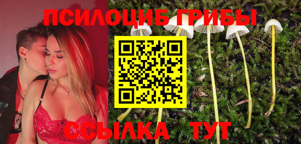Кизилюрт  Галлюциногенные грибы MAGIC MUSHROOMS  Вход с VPN 