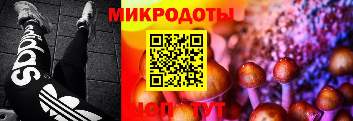 Галлюциногенные грибы GOLDEN TEACHER Кизилюрт